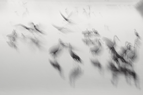 S2_01243