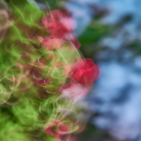 S1_04690_1