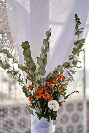 IMAGE_0022