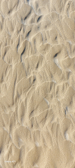 20250107_090622