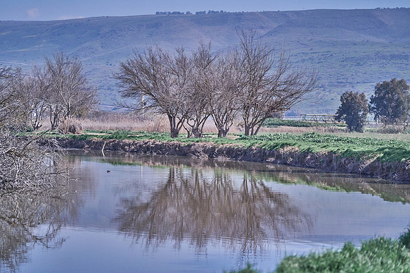 5016_AGMON_HAHULA_2025_03_01