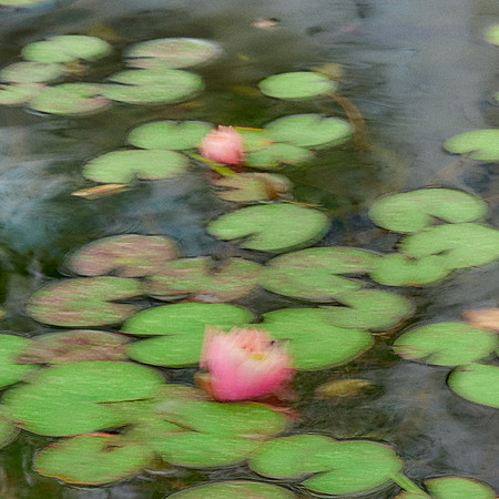01_08958_1