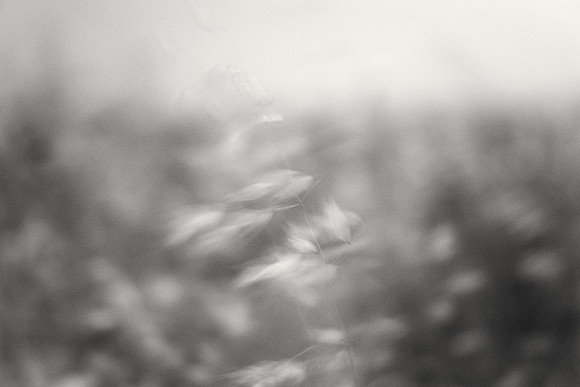01_02070 copy