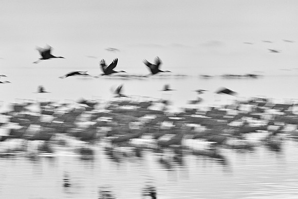S2_00717
