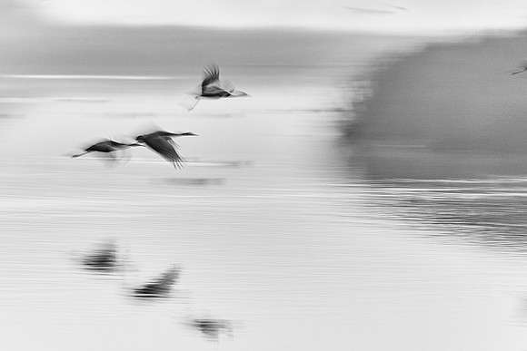 S2_00822_1