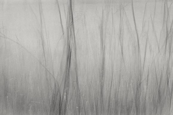 01_07496 copy