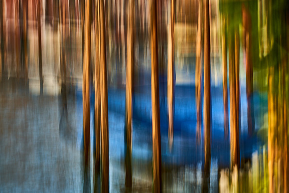 Venice #4