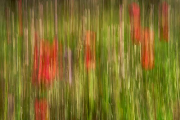 01_06580_1