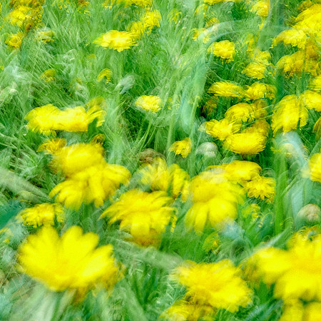 01_08174_1