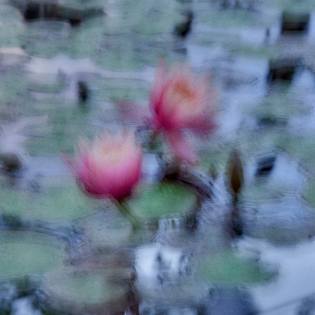 01_09199