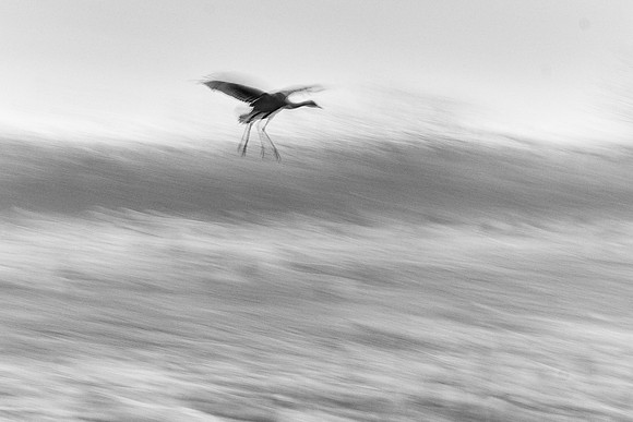 S2_01771_3