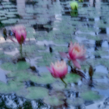 01_09265