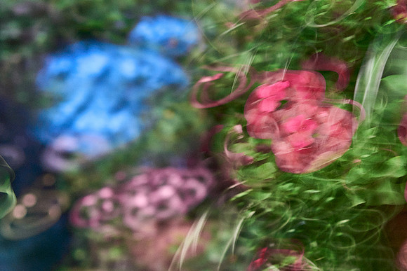 S1_04617_1