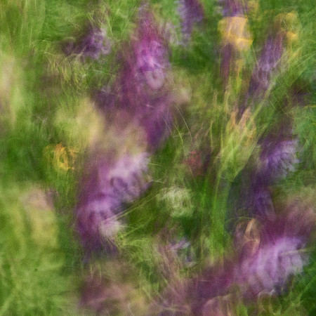 01_06778