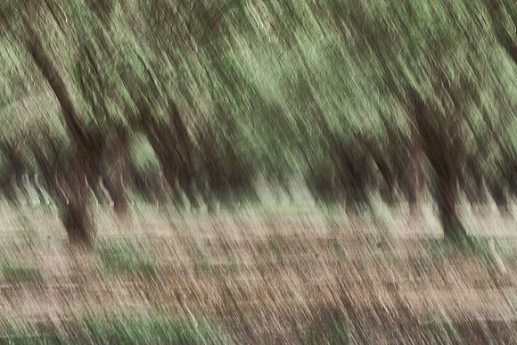 S1_05105
