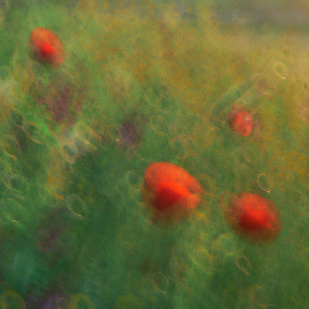 01_06985_1