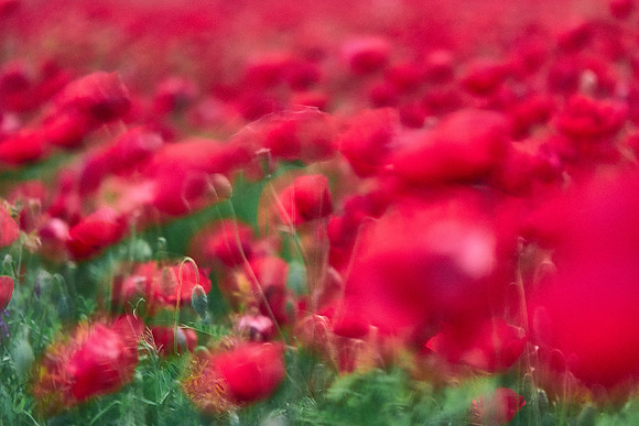 S1_07645