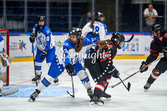 IMAGE_01041