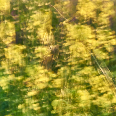 01_06886