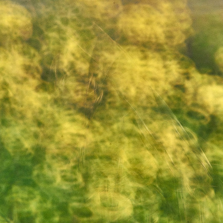 01_06876