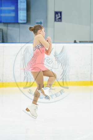 00384_2025_11_24_ONEICE_CUP_IL_2