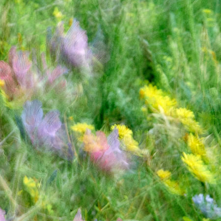 01_08451