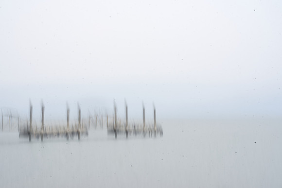 S1_05945