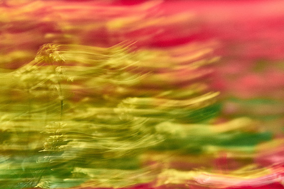 S1_07614