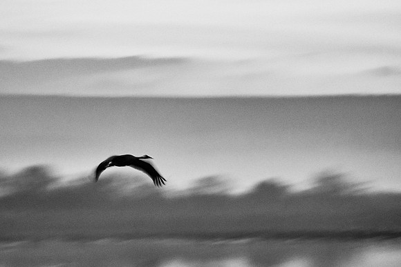S2_00282 BW
