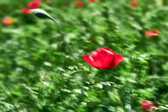 S1_07734