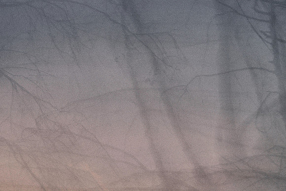 S1_04300_1