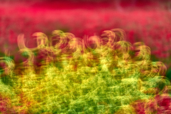 S1_07564