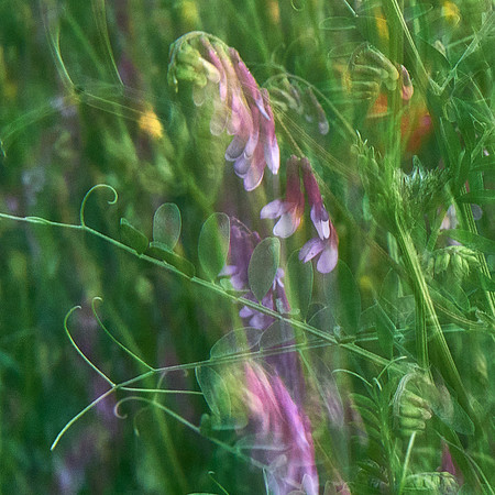 01_06649_2