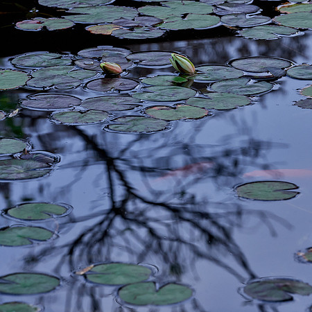 2023_04_15_103