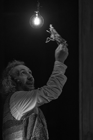 S1_01484