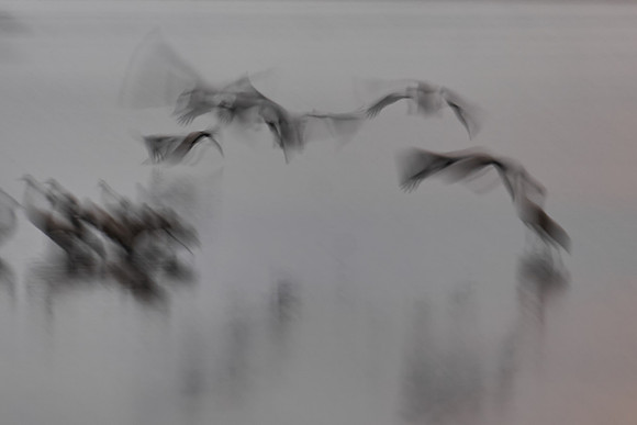 S1_03104