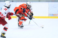 Dragons VS Rishon