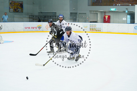 IIHF_SEMI_FINALS_0941