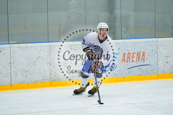 IIHF_SEMI_FINALS_0601