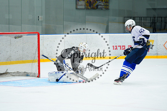 IIHF_SEMI_FINALS_0813