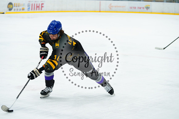 IIHF_SEMI_FINALS_0715