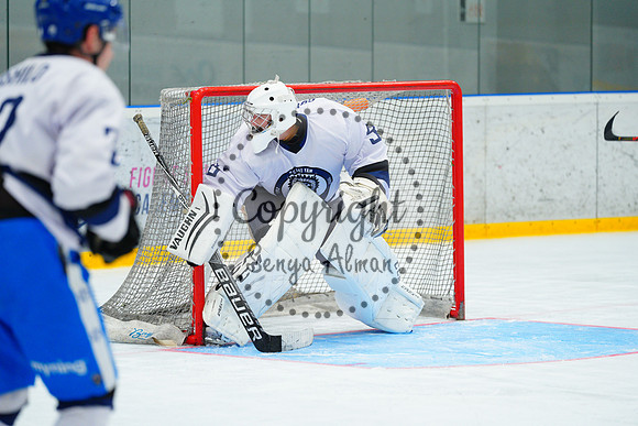 IIHF_SEMI_FINALS_0716
