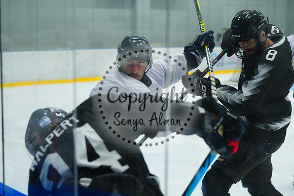IIHF_SEMI_FINALS_0678