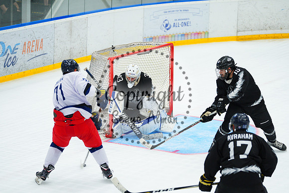 IIHF_SEMI_FINALS_0905