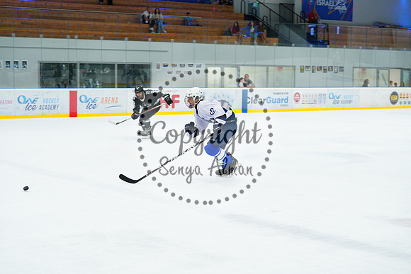 IIHF_SEMI_FINALS_0810