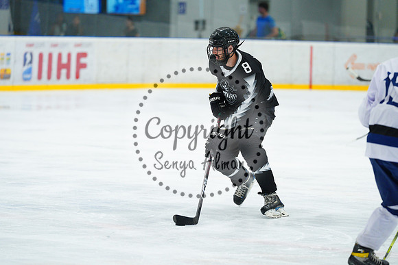 IIHF_SEMI_FINALS_0610