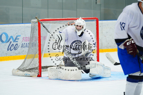 IIHF_SEMI_FINALS_0971