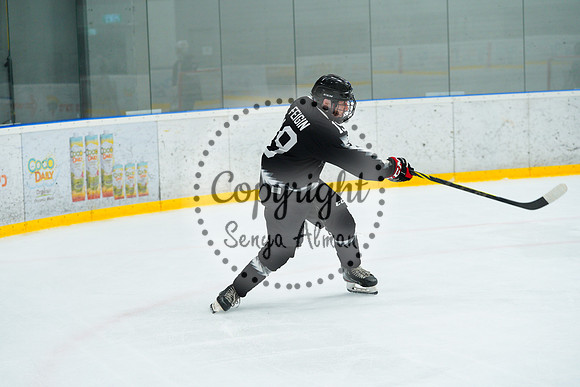 IIHF_SEMI_FINALS_0808