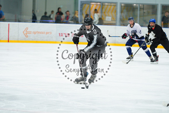 IIHF_SEMI_FINALS_0604