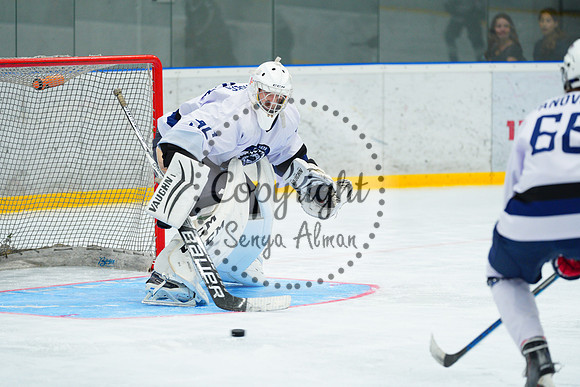 IIHF_SEMI_FINALS_0621